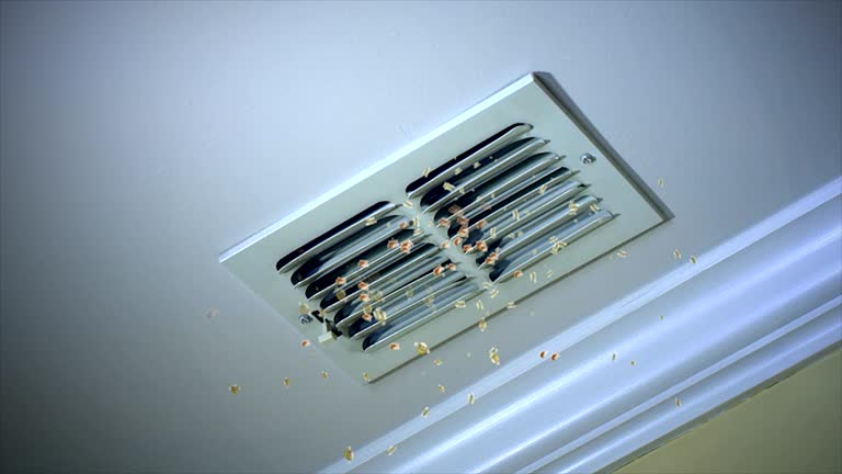 Best HVAC Duct Inspection Services  in St Augustine Beach, FL